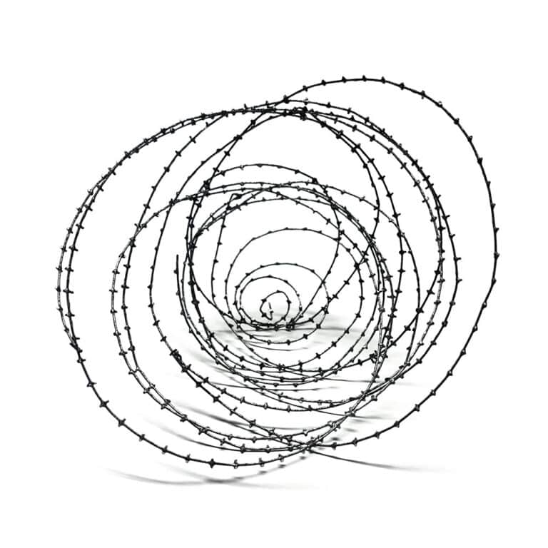 Julie Levesque - 'Boundry: Spiral'